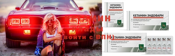 трава Кодинск