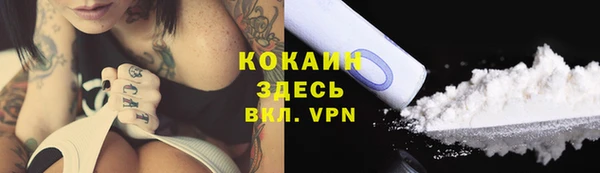 стафф Козловка