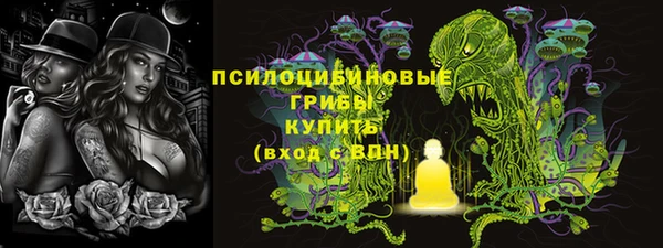 стафф Козловка